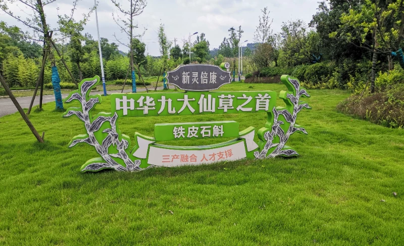Customer Factories
